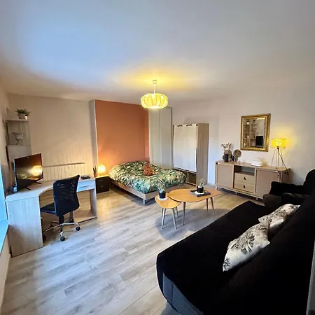 Charmant Studio De 50 M2 Chaumont  Buitenkant foto